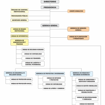 Organigrama